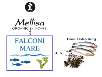 Falconi Mare collaborate with Mellisa Skin Care
