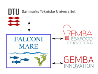 Falconi Mare collaborate with GEMBA and DTU