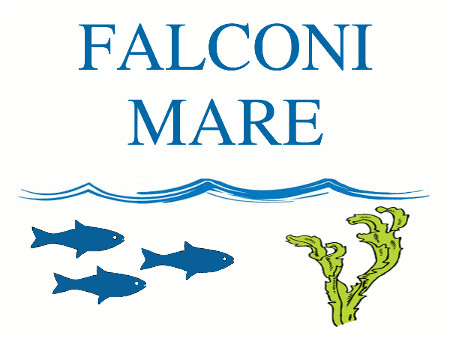 Falconi Mare Logo